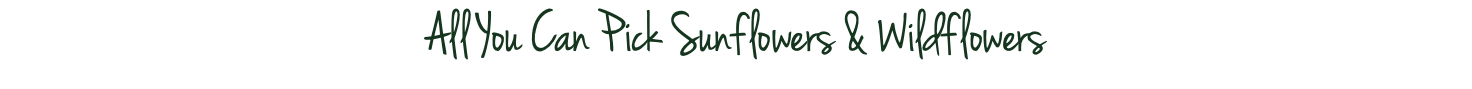 All You Can Pick Sunflowers & Wildflowers